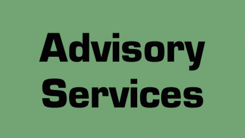 Advisory Services - Hemisphere Design